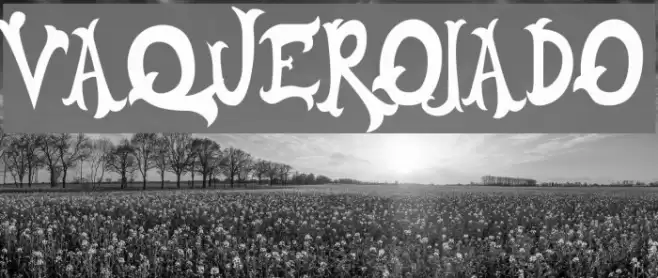 VAQUEROJADO Font examples