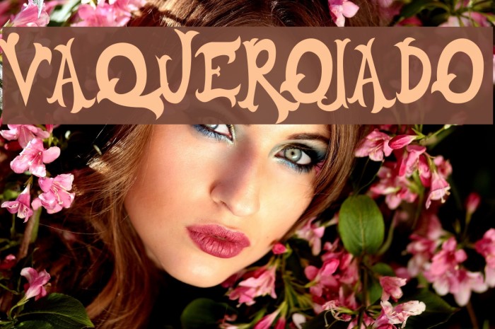 VAQUEROJADO Example 2