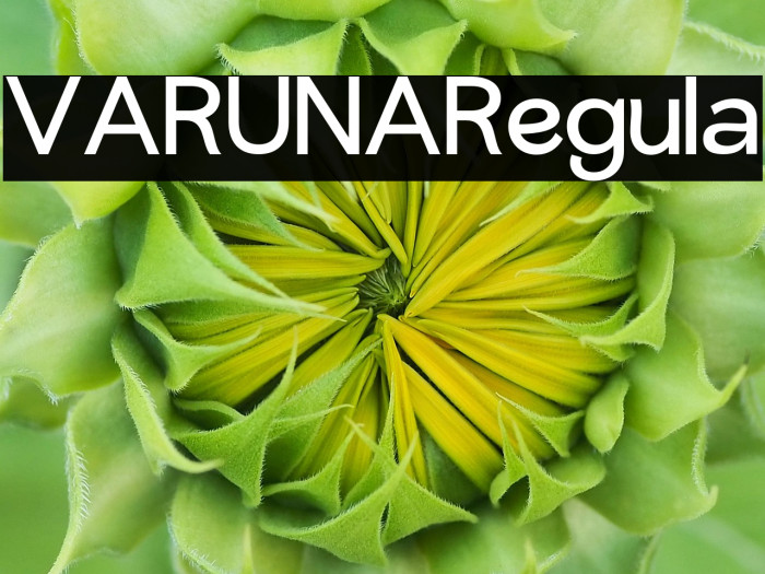 VARUNA-Regular Example 1