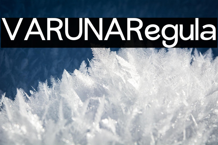 VARUNA-Regular Example 3