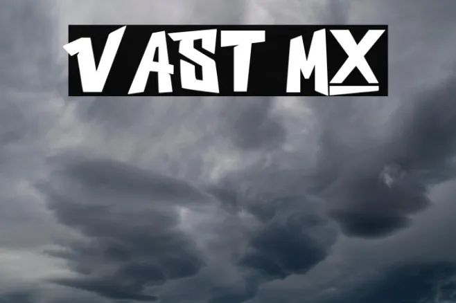 VAST MX Example 2