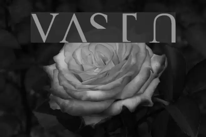 VAST Naked Font examples