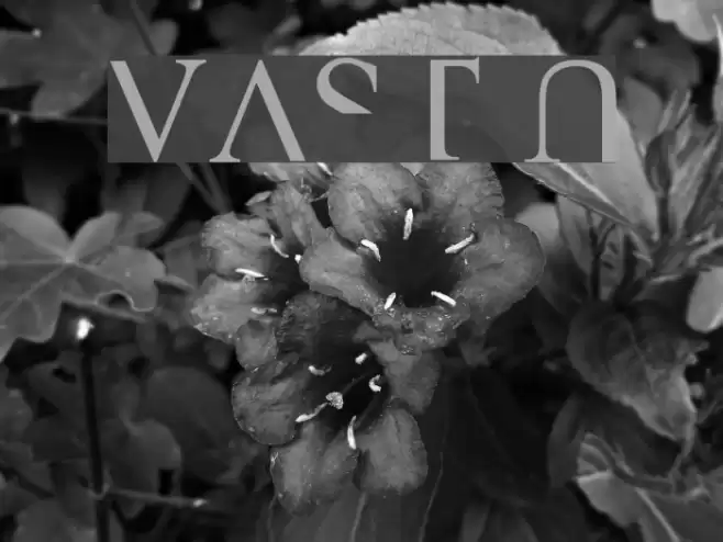 VAST Naked Font examples