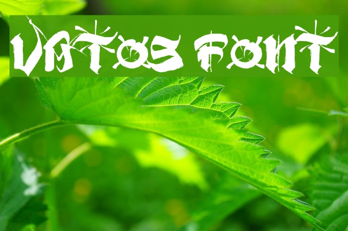 VATOS Font examples