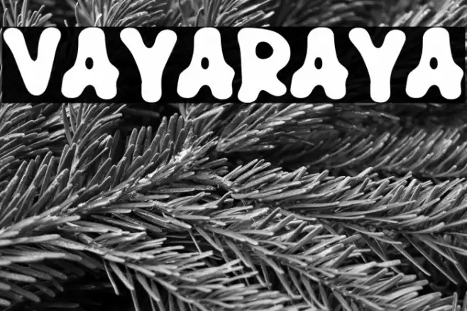 VAYARAYA फ़ॉन्ट examples