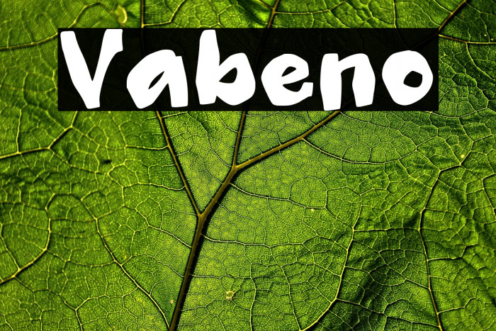 Vabeno Example 3