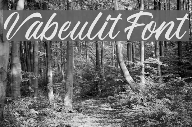 Vabeulit Font Font examples