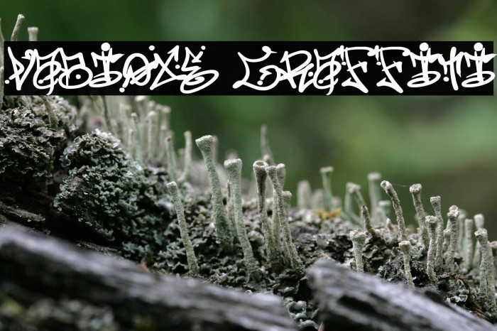 Vabioxe Graffiti Example 2