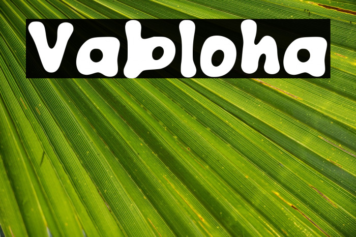 Vabloha Example 2