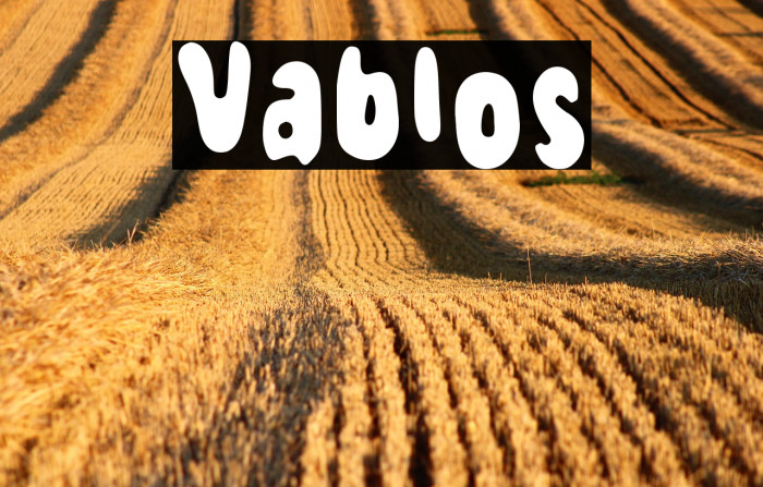 Vablos Example 3