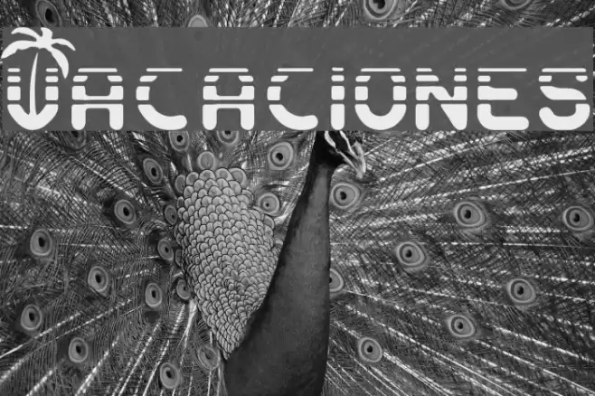 Vacaciones Font examples