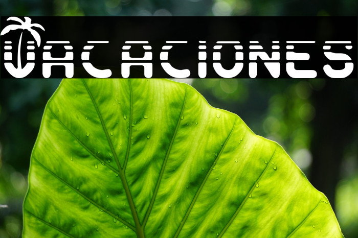 Vacaciones Font examples