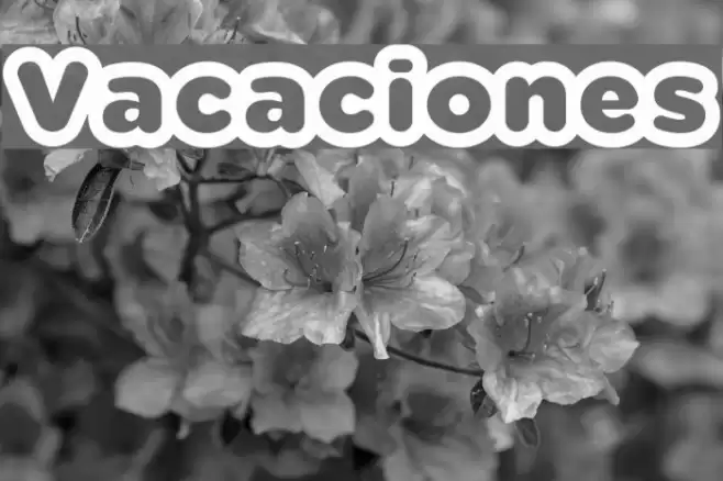 Vacaciones خط examples