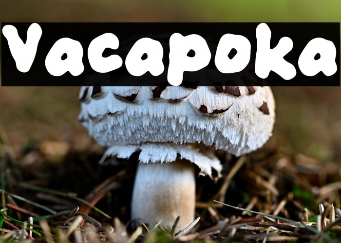 Vacapoka Example 2