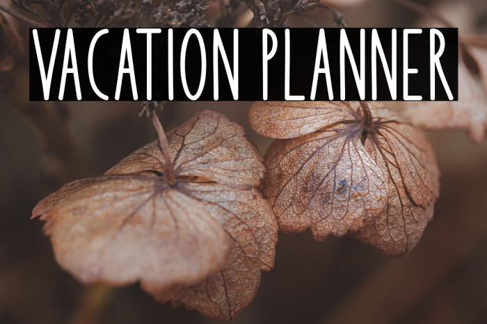 Vacation Planner Example 2