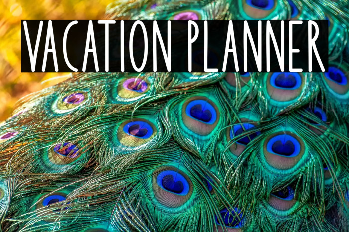 Vacation Planner Example 3