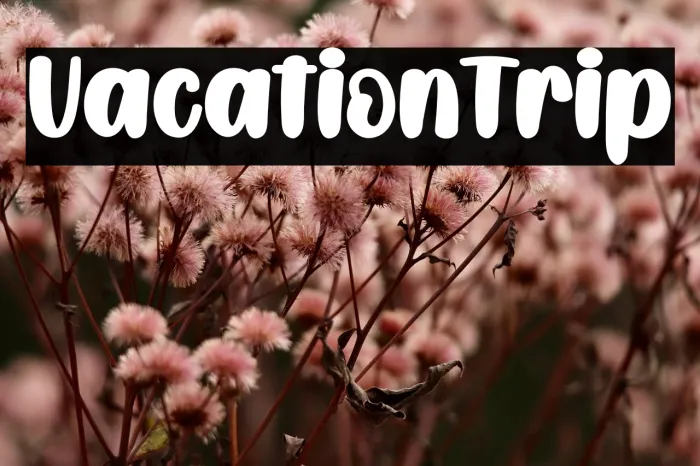 Vacation Trip Example 2