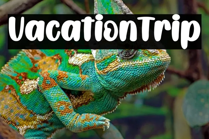 Vacation Trip Example 3
