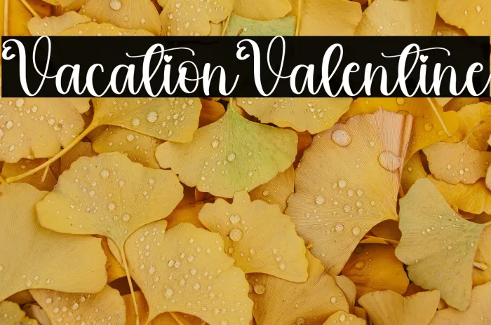 Vacation Valentine Example 2