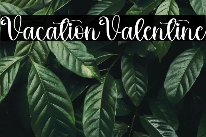 Vacation Valentine Example 3