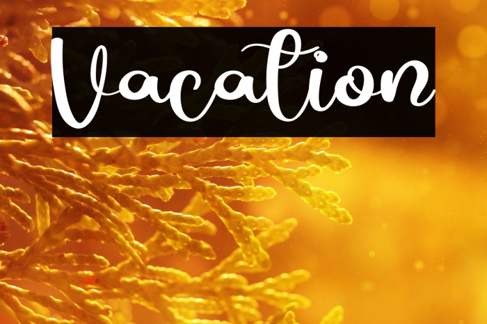 Vacation Example 2