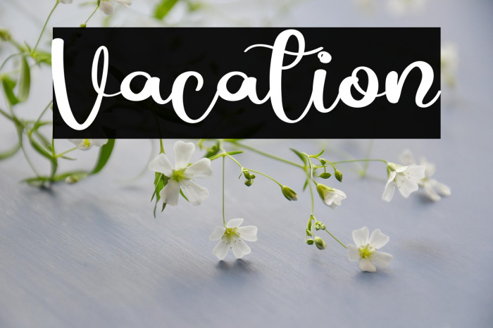 Vacation Example 3