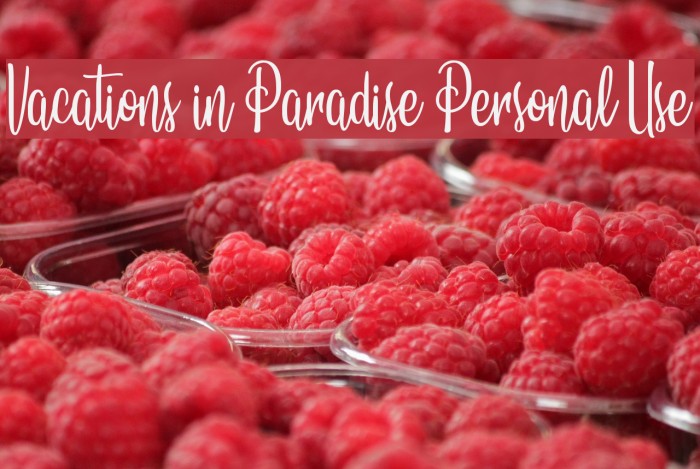 Vacations in Paradise Personal Use Font examples