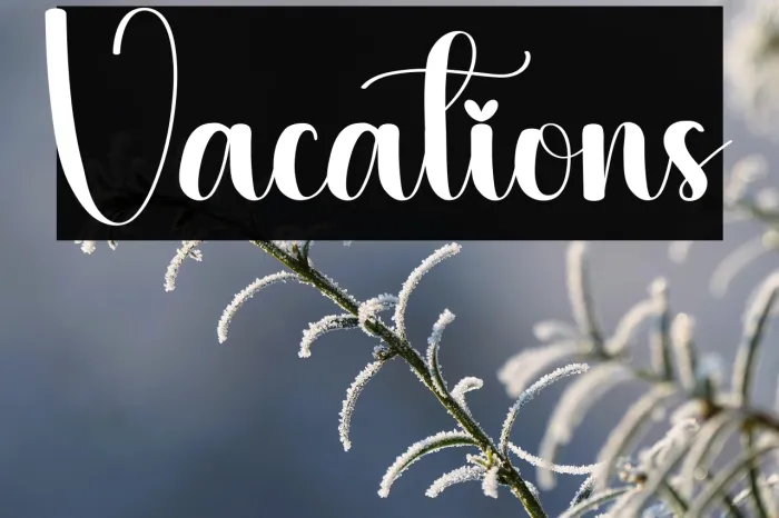 Vacations Example 2