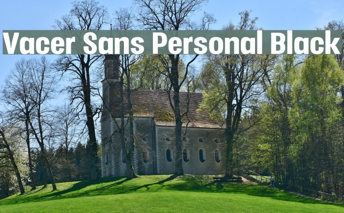 Vacer Sans Personal Black Font examples