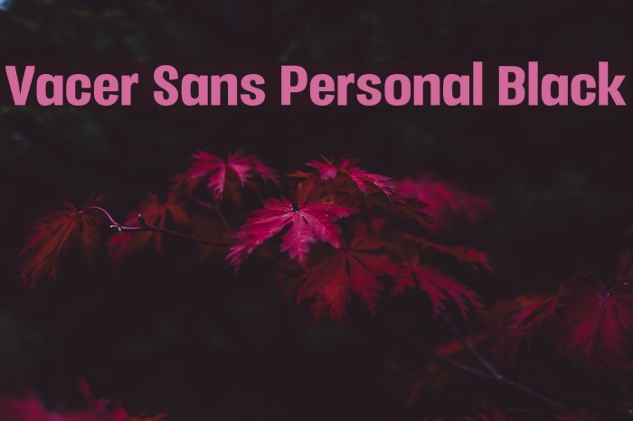 Vacer Sans Personal Black Font examples
