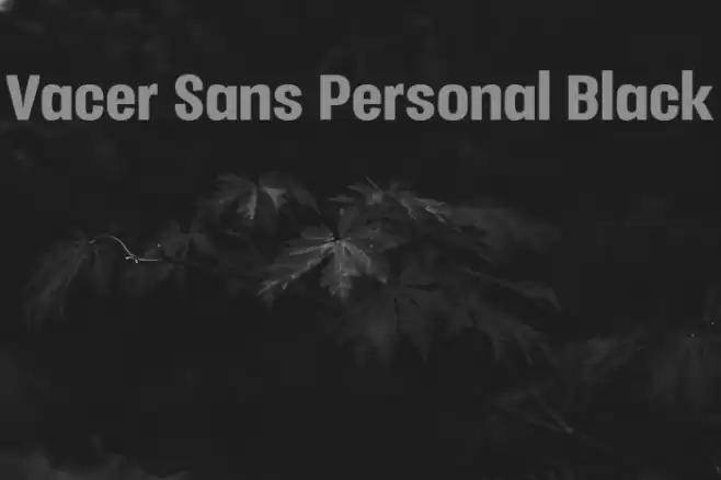 Vacer Sans Personal Black Font examples