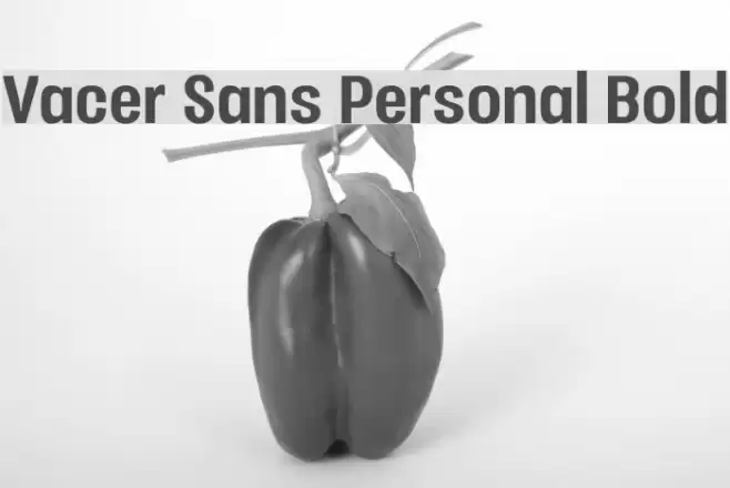 Vacer Sans Personal Bold Font examples