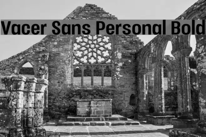 Vacer Sans Personal Bold Font examples