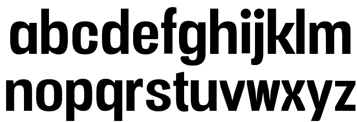 Vacer Sans Personal Bold Font Litere mici