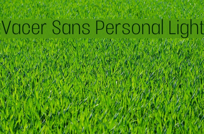 Vacer Sans Personal Light Font examples