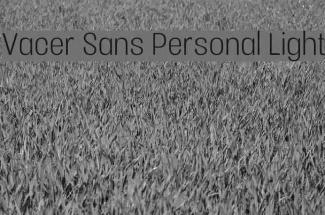 Vacer Sans Personal Light Font examples