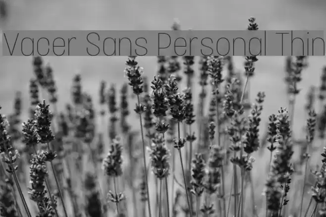Vacer Sans Personal Thin Font examples