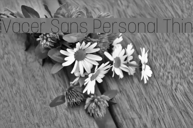 Vacer Sans Personal Thin Font examples