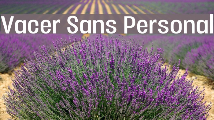 Vacer Sans Personal Font examples
