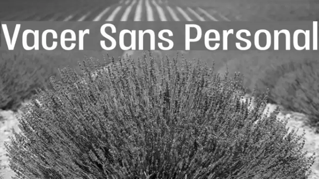 Vacer Sans Personal फ़ॉन्ट examples