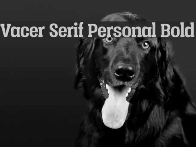 Vacer Serif Personal Bold Font examples