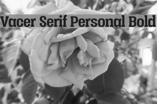 Vacer Serif Personal Bold Font examples