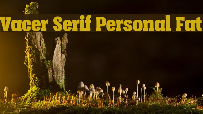 Vacer Serif Personal Fat Font examples