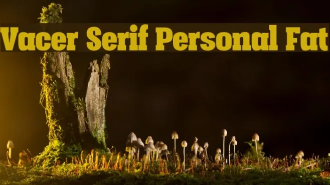 Vacer Serif Personal Fat Example 3