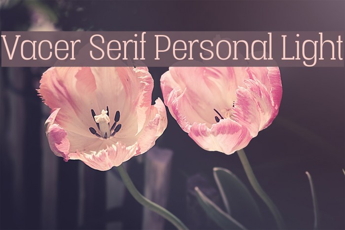 Vacer Serif Personal Light Шрифта examples