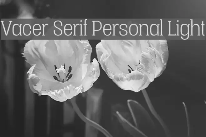 Vacer Serif Personal Light Шрифта examples