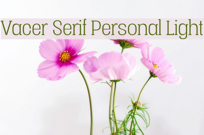 Vacer Serif Personal Light Шрифта examples