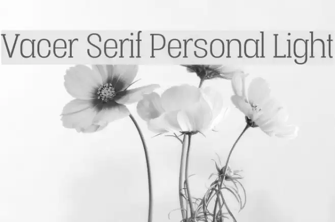 Vacer Serif Personal Light Шрифта examples