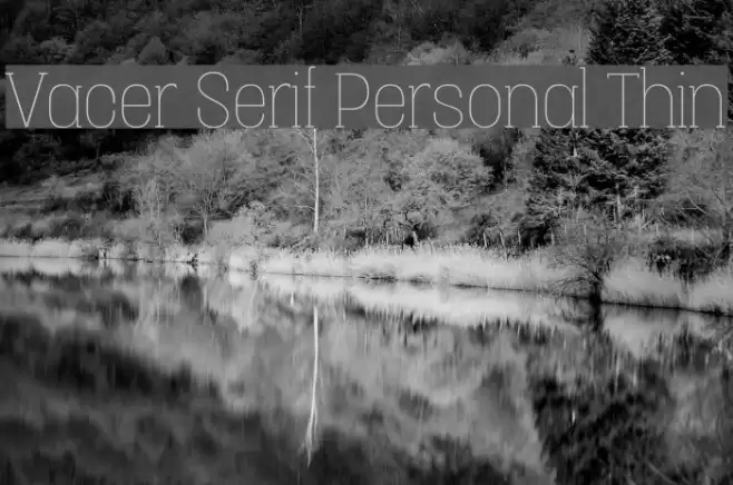 Vacer Serif Personal Thin Font examples