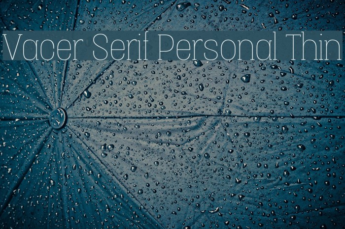 Vacer Serif Personal Thin Шрифта examples